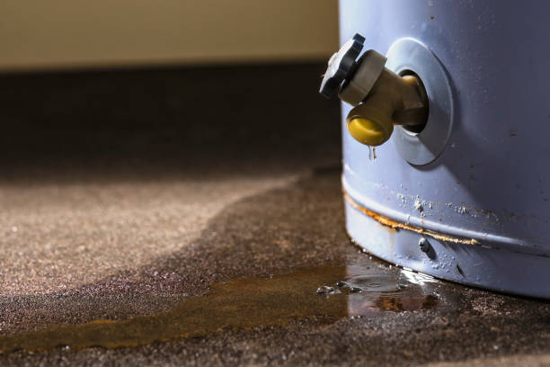 Best Sewage cleanup and water damage restoration  in Waynesboro, VA