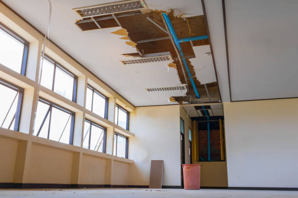 Best Flooded house restoration  in Waynesboro, VA