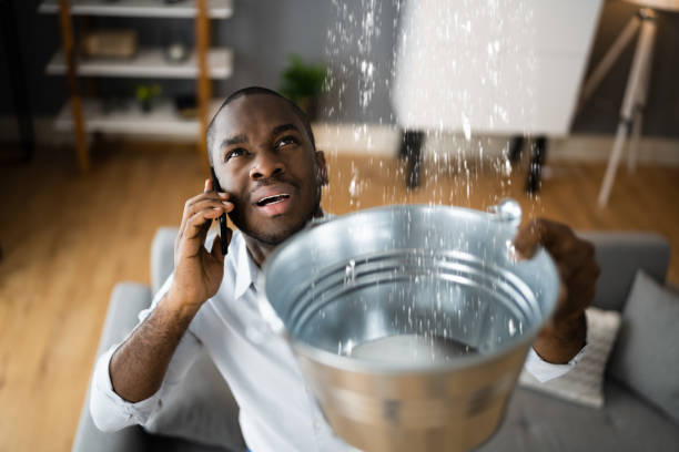 Best Basement water damage restoration  in Waynesboro, VA
