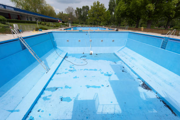 Best Professional water damage repair  in Waynesboro, VA
