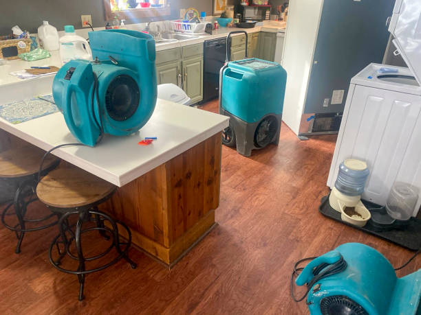 Best Emergency water damage restoration  in Waynesboro, VA
