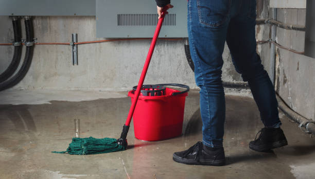 Best Water damage restoration near me  in Waynesboro, VA
