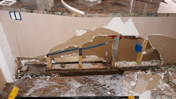 Best Flood damage cleanup  in Waynesboro, VA