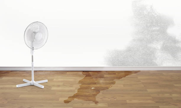 Best Ceiling water damage repair  in Waynesboro, VA