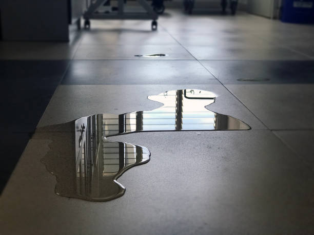 Best Water damage repair service  in Waynesboro, VA