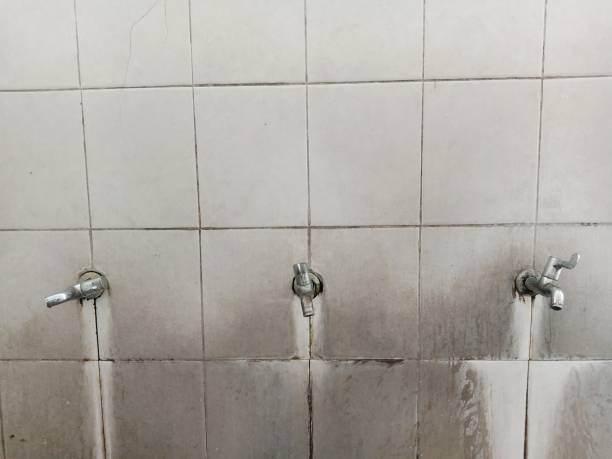 Best Water damage cleanup near me  in Waynesboro, VA