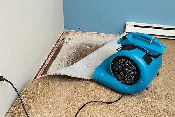 Best Commercial water damage restoration  in Waynesboro, VA